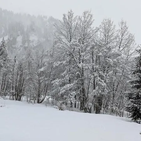 Madrilene, Rochebrune, Proche Telepherique Apartment Megève
